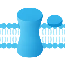 Membrane Proteins: Integral and Peripheral