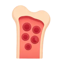 Myelodysplastic Syndromes