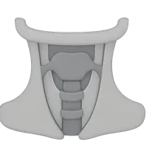 Cervical Fascia