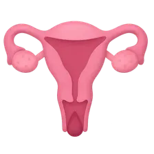 Normal Menstrual Physiology
