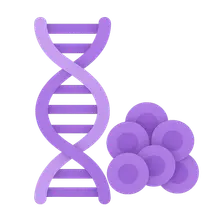 Oncogenes and proto-oncogenes