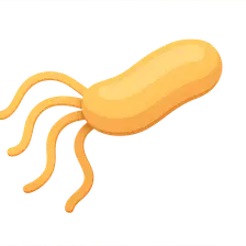 Helicobacter pylori