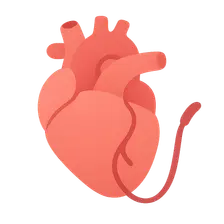 Cardiovascular Interventional Procedures