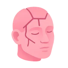 Craniofacial Surgery Principles