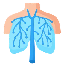 Thoracic lymphatic drainage