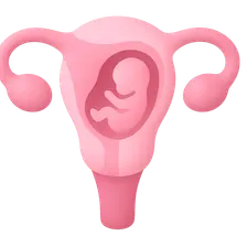 Pharmacokinetics of Hormones in Pregnancy