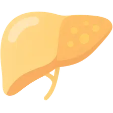 Drug-Induced Liver Injury