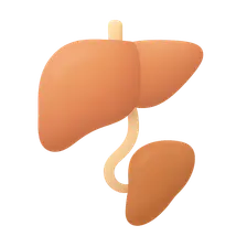 Liver Transplantation Pathology