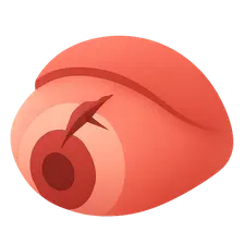 Corneal Trauma