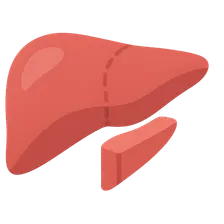 Liver resection principles