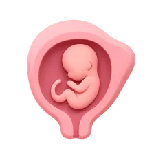 Pregnancy Diagnosis and Dating