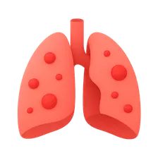 Anatomical Aspects of Infections