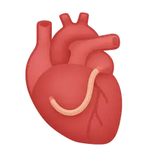 Post-Surgical Cardiovascular Imaging