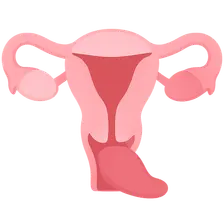 Pelvic Organ Prolapse