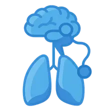 Central and peripheral chemoreceptors
