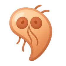 Intestinal protozoa (Giardia, Entamoeba)