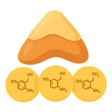 Adrenal medulla and catecholamines