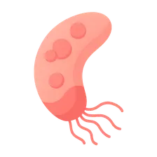 Blood and tissue parasites