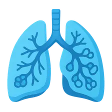 Bronchiectasis and Cystic Fibrosis