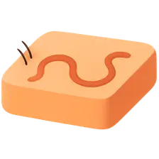 Cutaneous Larva Migrans