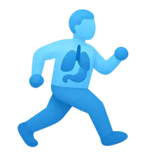 Acid-base balance during exercise