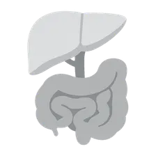 Variations in Visceral Anatomy