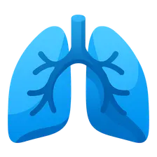 Non-traumatic Thoracic Emergencies