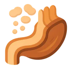 Protein digestion and absorption