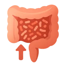 Probiotics and Microbiome Modification