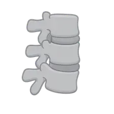 Biomechanics of Spine
