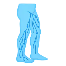 Lower limb lymphatic drainage