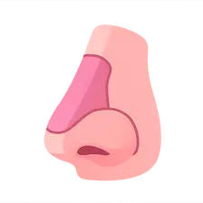 Nasal Reconstruction