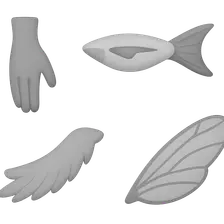 Homologous and Analogous Structures