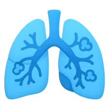 Bronchiolitis