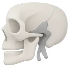 Pterygopalatine Fossa