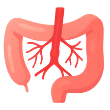 Mesenteric Vascular Disease