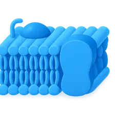 Cell Membrane Structure and Function