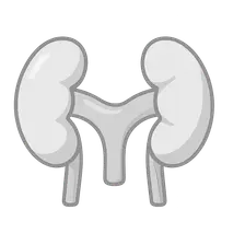 Anatomical variants in imaging