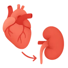 Cardio-renal syndrome