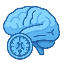 Neuroimaging Correlations