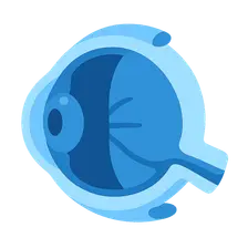 Primary Open-Angle Glaucoma