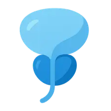 Prostate surgery basics