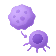 Tumor Immunology