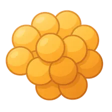Staphylococci