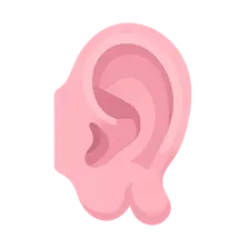 Congenital Anomalies of the Ear