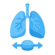 Combined respiratory system compliance