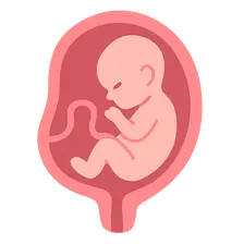 Prenatal Diagnosis and Genetic Counseling