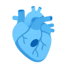 Congenital Heart Disease in Adults