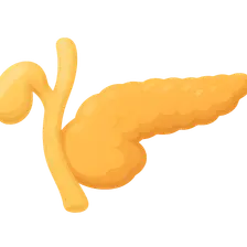 Pancreas development