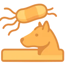 Zoonotic bacterial infections